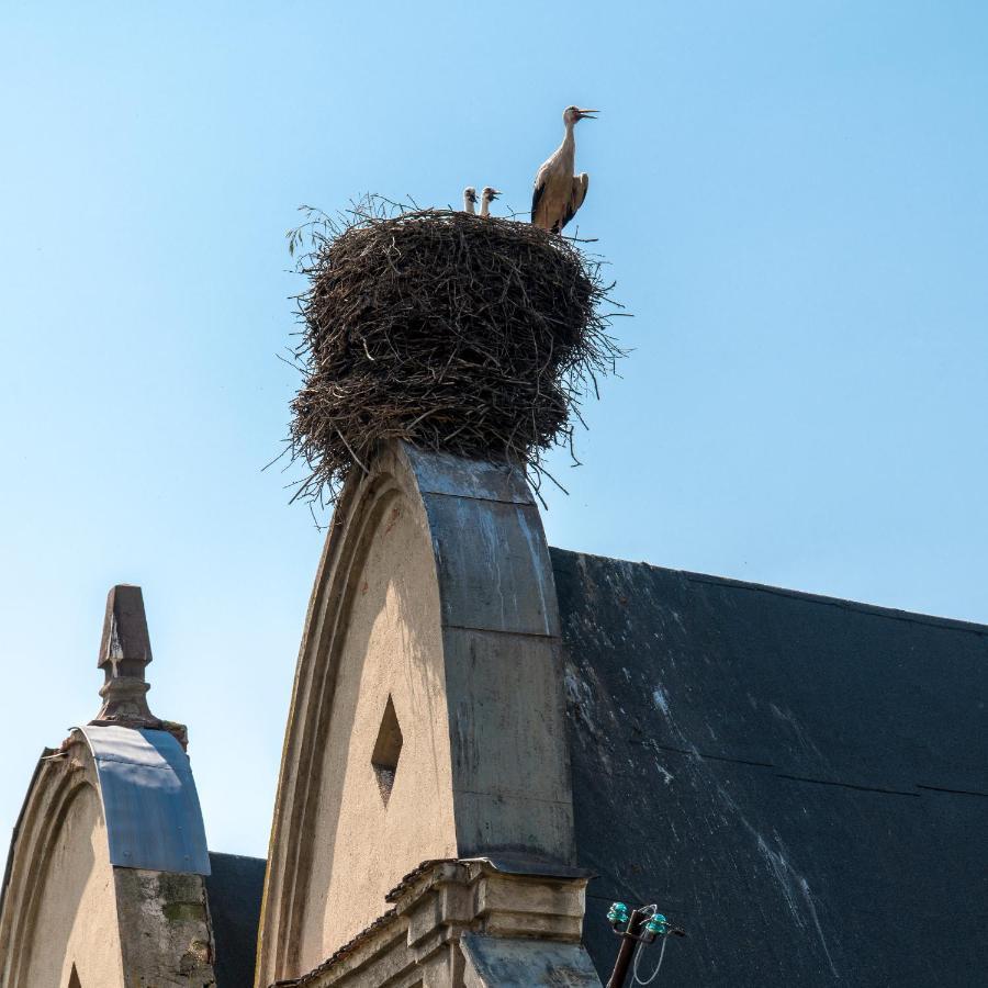 Zamek Sarny - Schloss Scharfeneck Kłodzko Exterior foto
